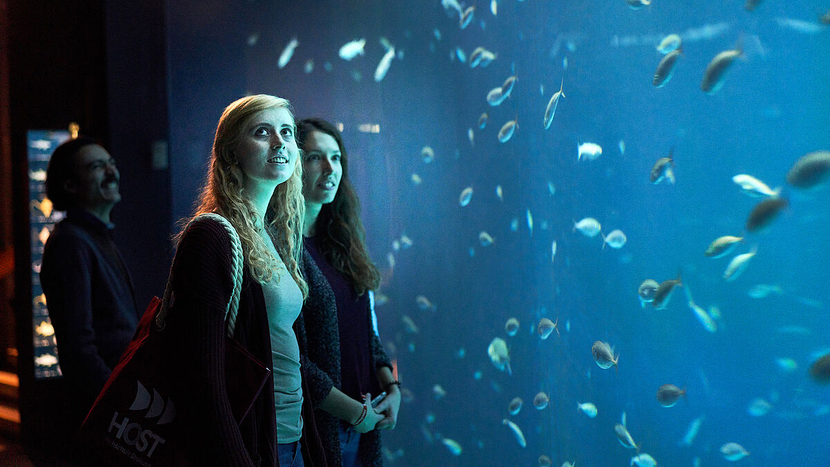 Studierende vor einem Aquarium