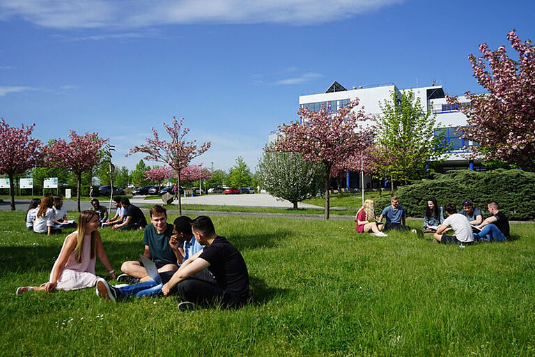 Junge Menschen sitzen in Gruppen auf einer grünen Wiese vor einem weißen Gebäude.