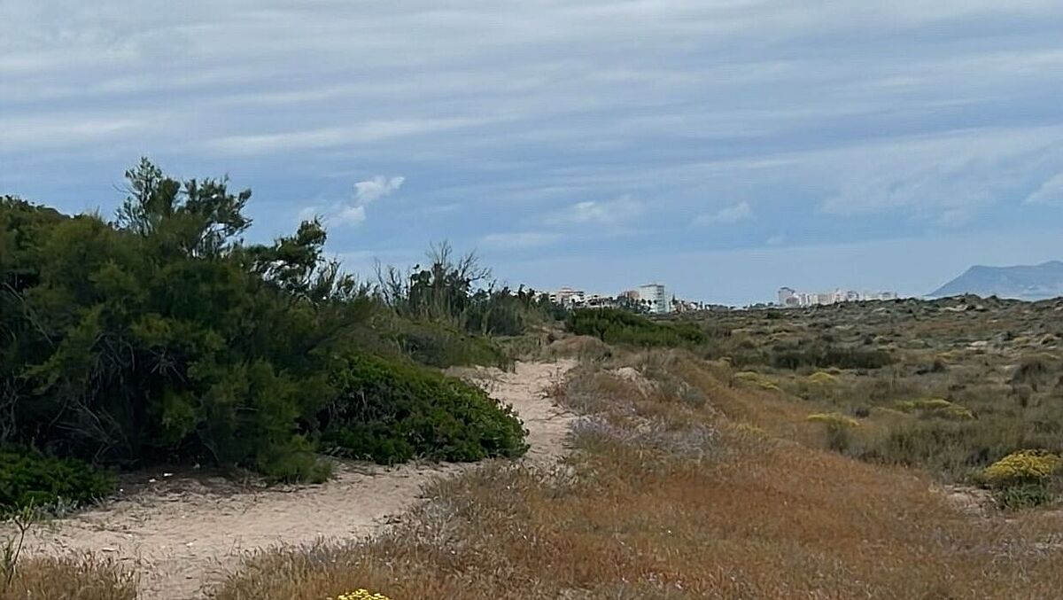 Spanien - UPV Gandía