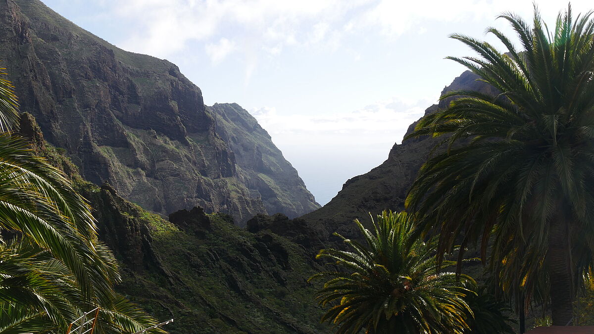 Spanien - Universidad de La Laguna