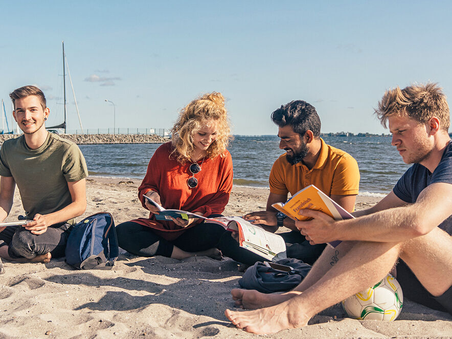 Internationale und nationale Studierende lernen am Strand