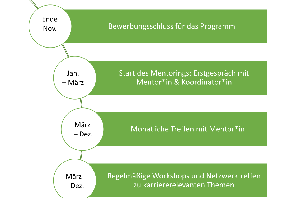 Timeline & Ablauf