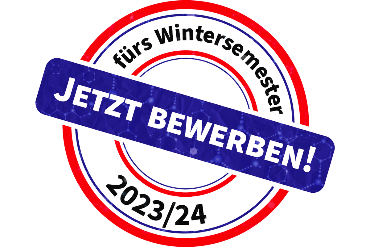 Bei Klick auf den Bewerbungsbutton gelangt man auf die Website zur Online Bewerbung.