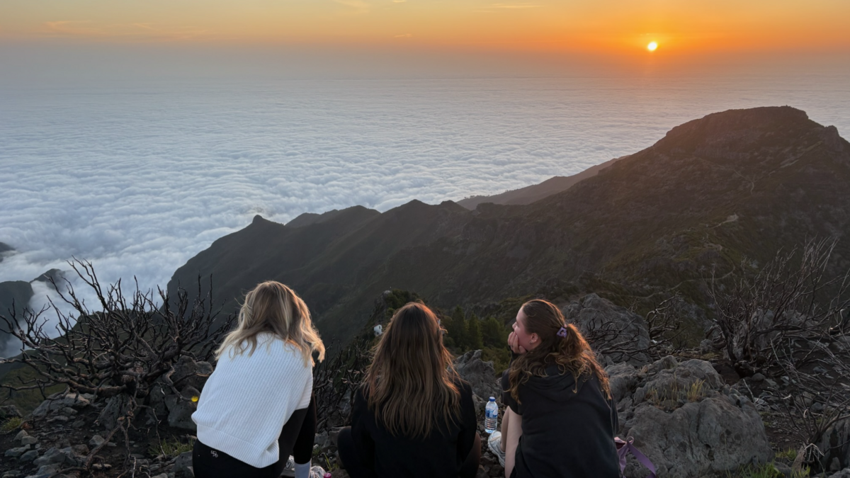 Portugal - Universidade de Aveiro