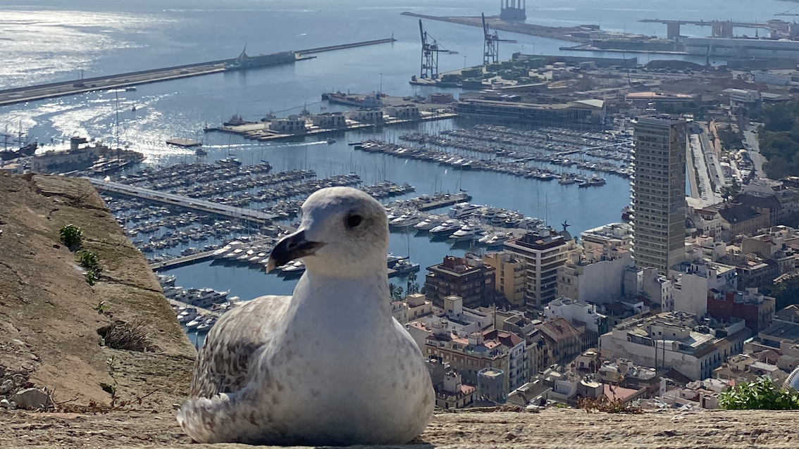 Spanien - Universitat Politècnica de València