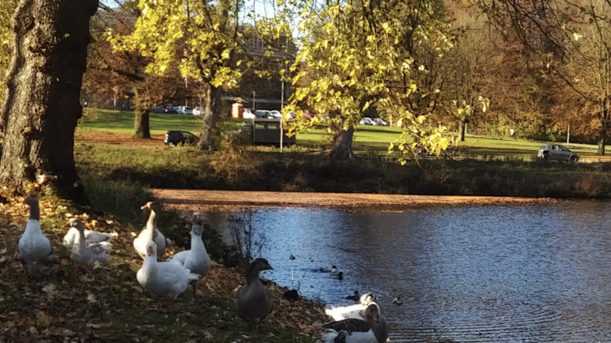 Niederlande - HAN University