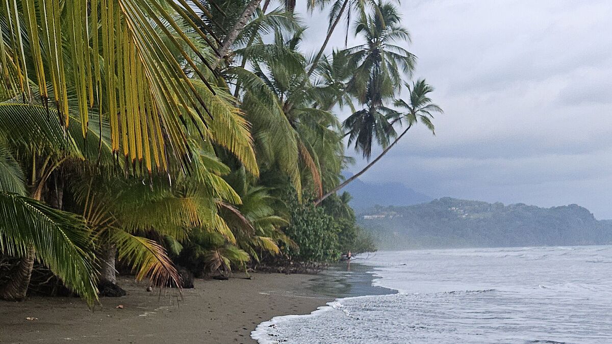 Koliumbien - Universidad Pontificia Bolivariana