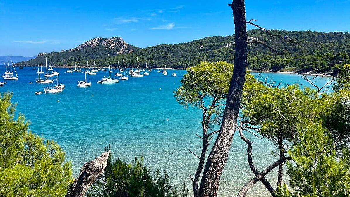 Frankreich - Y Schools