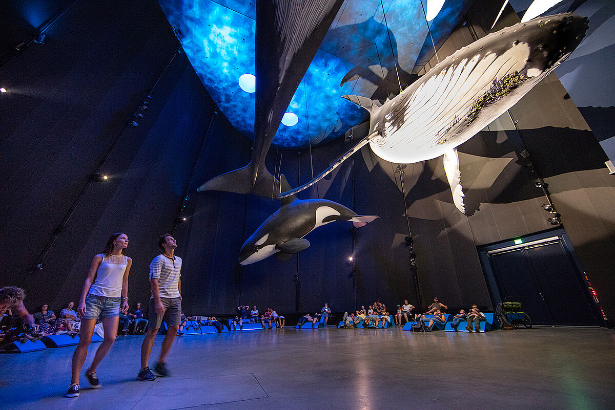 Ausstellung im Stralsunder Ozeaneum