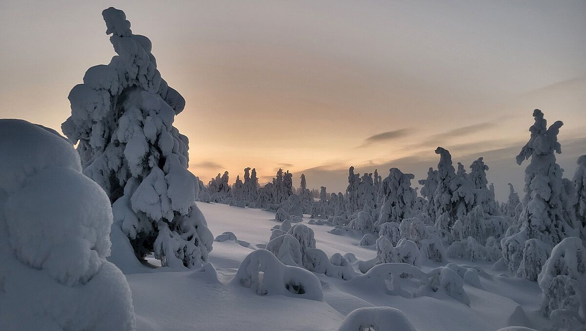 Finnland - S.-E. Finland University of Applied Sciences