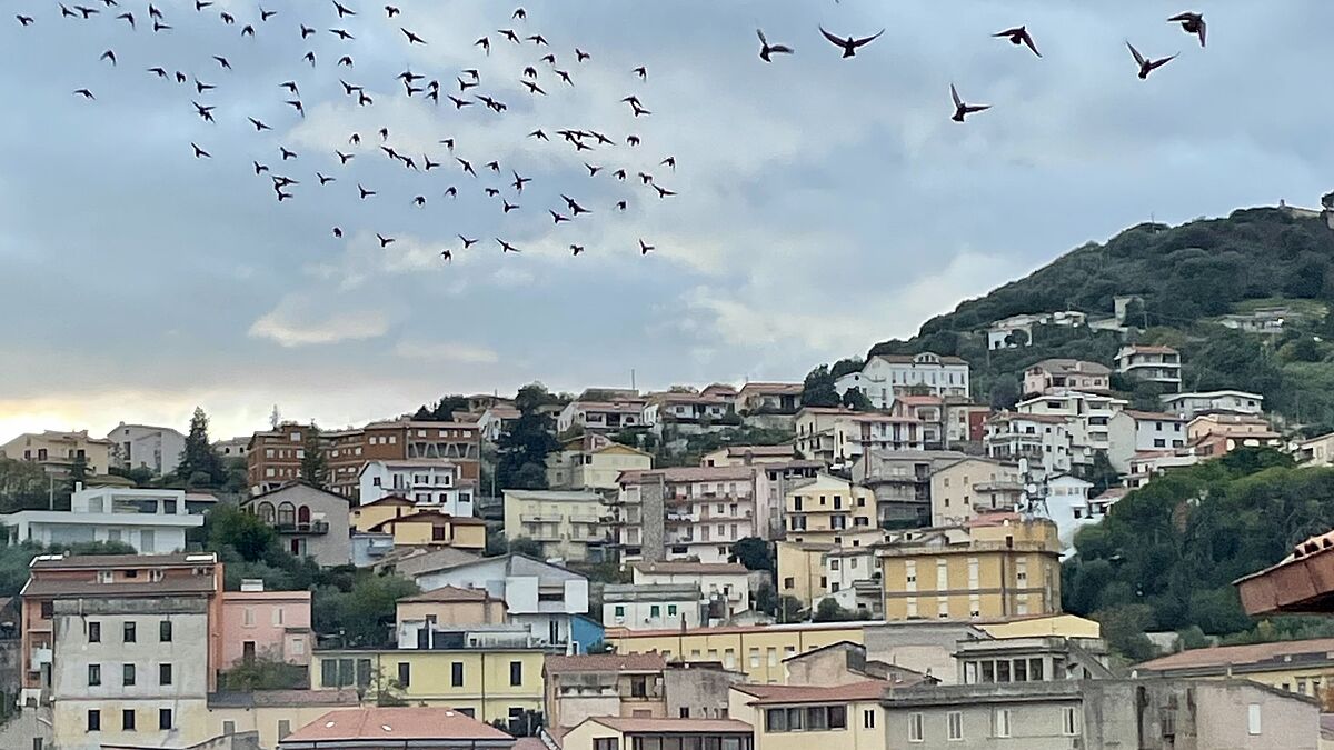 Italien - Università degli Studi di Sassari