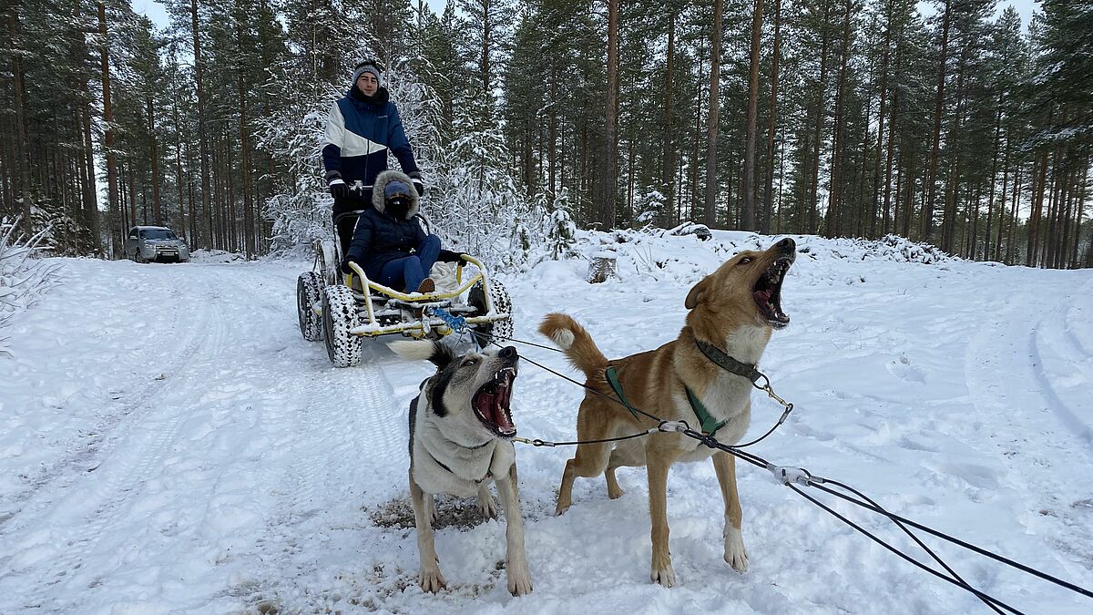 Finnland - S.-E. Finland University of Applied Sciences