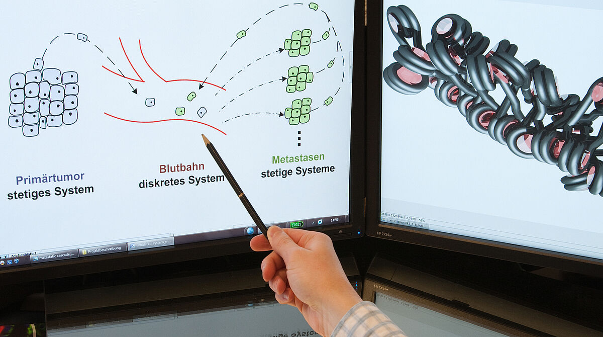 Bioinformatics