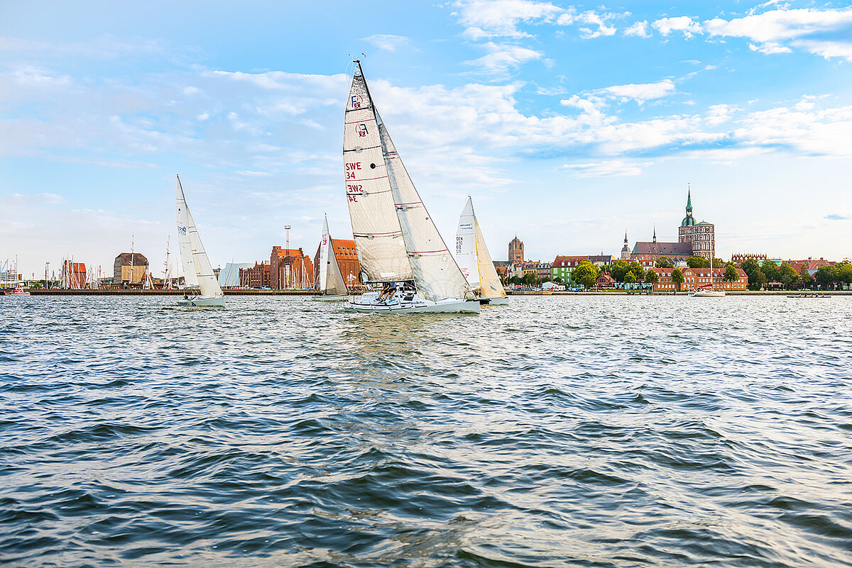 Sailing regatta in Stralsund harbor