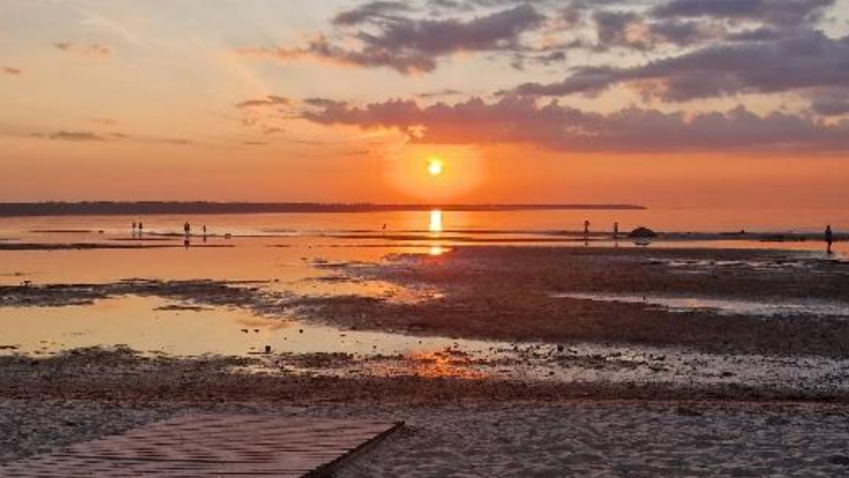 Estland - Tallinn University of Technology (TalTech)