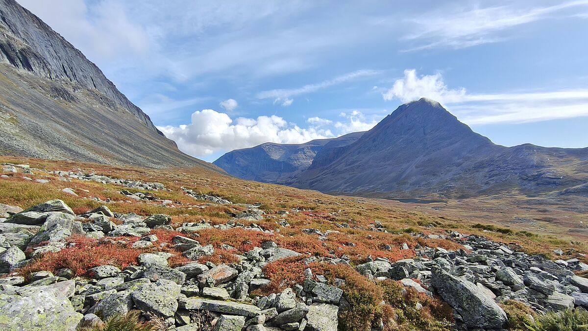 Schweden -  Arctic Mountain Team
