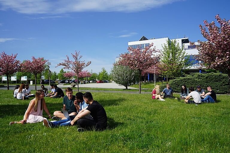 Junge Menschen sitzen in Gruppen auf einer grünen Wiese vor einem weißen Gebäude.