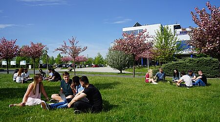 Junge Menschen sitzen in Gruppen auf einer grünen Wiese vor einem weißen Gebäude.