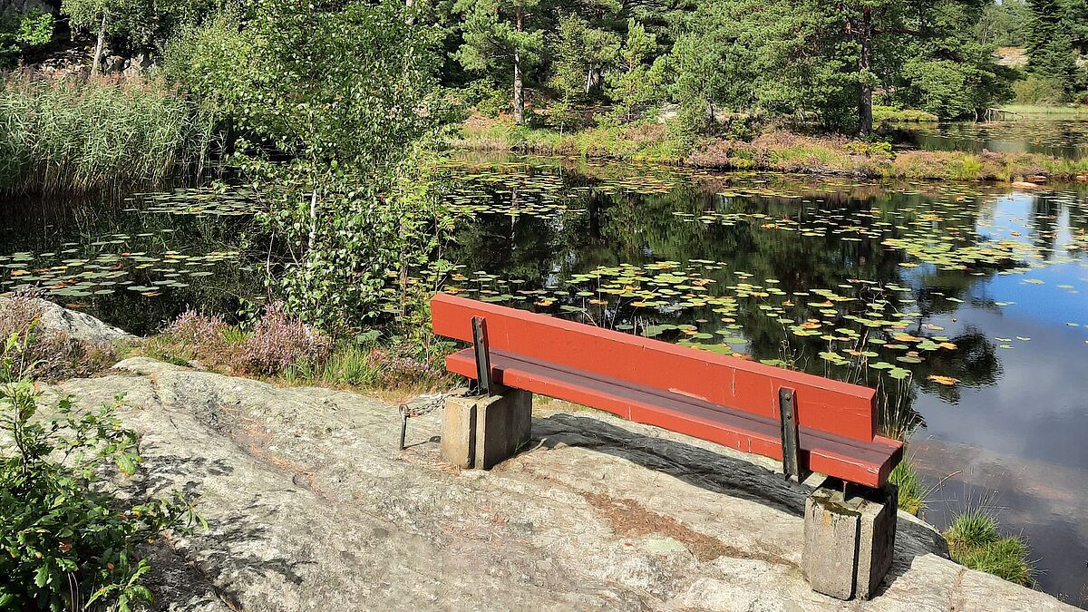 Norwegen – Universitet i Agder