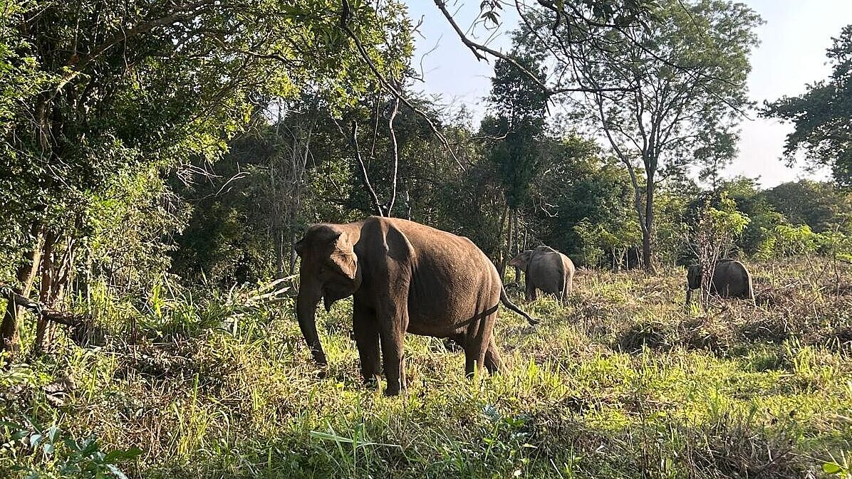 Sri Lanka - Jetwing Sea Hotel