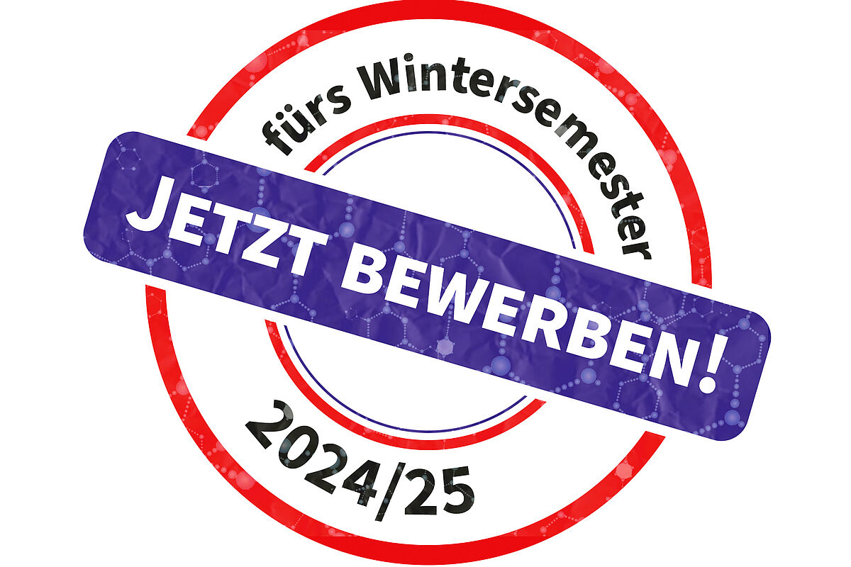 Button zum Bewerbungsportal