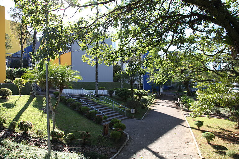 eine Aufnahme der Gebäude der Universität bei Tag durch Bäume fotografiert