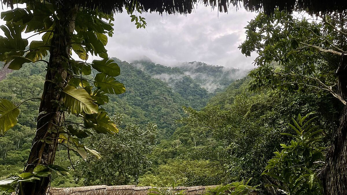 Peru - Universidad San Ignacio de Loyola